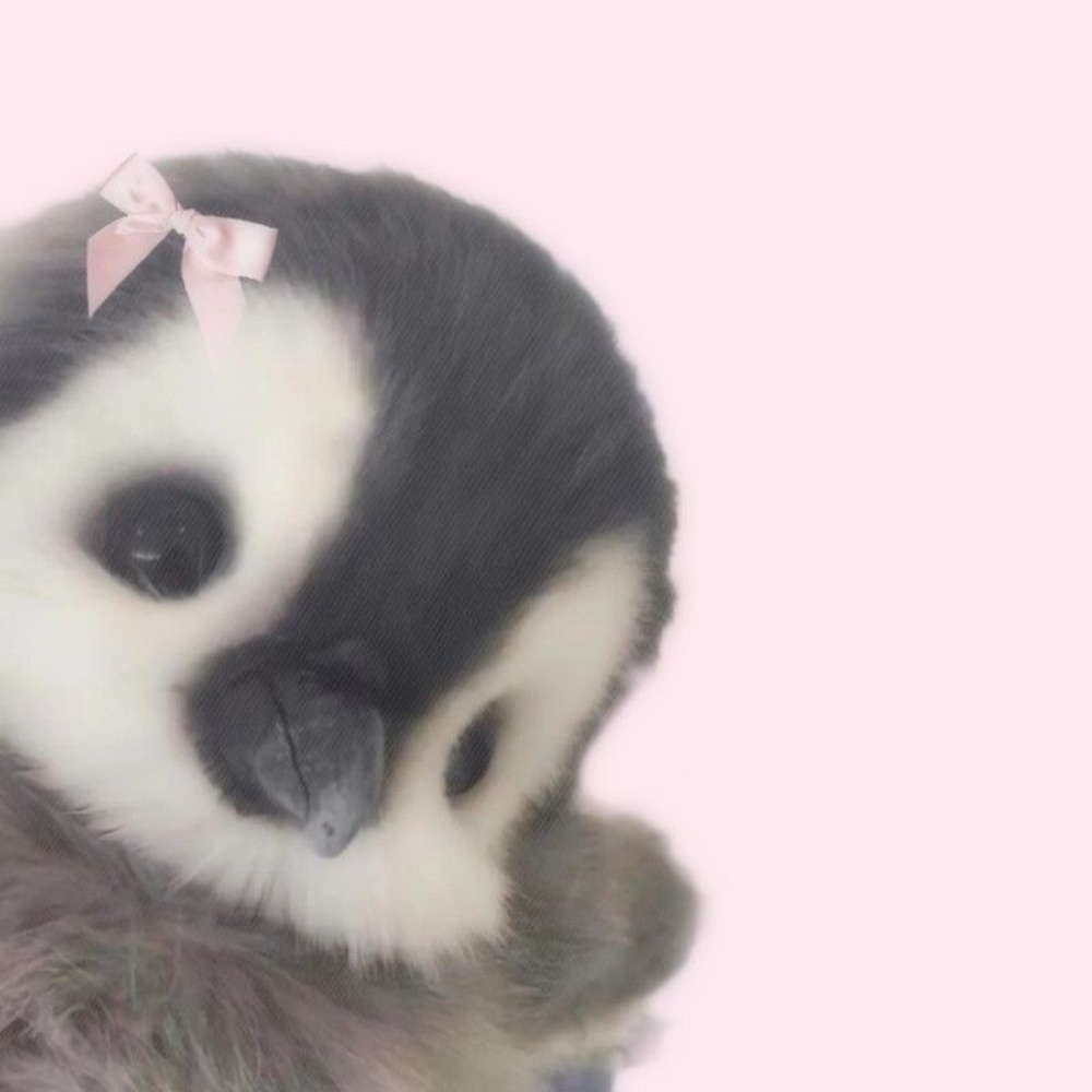 Meet your Posher, Saory